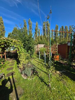 Zahrada se zateplenou chatkou, pergolou 250m2 - 7