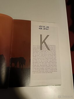 Škola jezdectví - 7