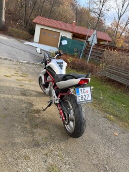 Kawasaki ER-6n (2007) – 53 kW - 7