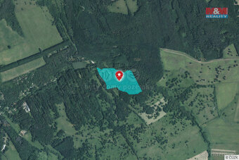 Prodej lesa, 845297 m², Kněždub - 7