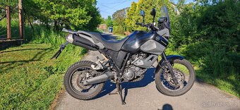 Yamaha tenere xt 660z.. - 7
