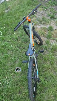 Kolo24"Cube acid 240 - 7