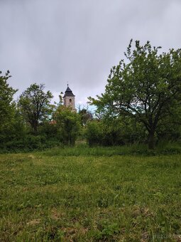 Pronájem zahrady Litenčice - 7