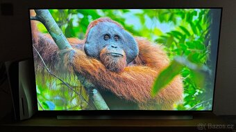 Televize LG OLED55C12 - v záruce - 7