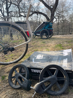 Thule Chariot Cross 2 - 7