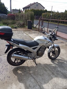 Cbf 250 - 7