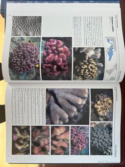 Corals of the World - J.E.N. Veron - sada knih (jako nové) - 7