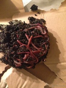 Šedý kompostér s chovnou nádobou o objemu 18 l - 7