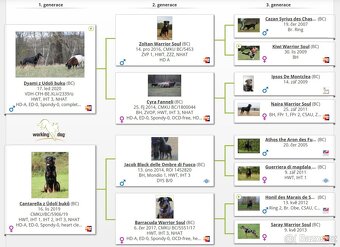 Beauceron s PP - 7