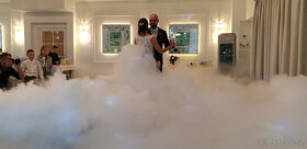 Dj a zpěvačka na svatbu - 7