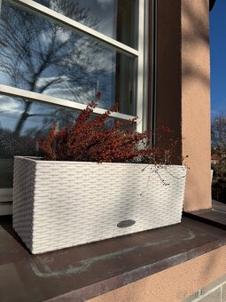 Truhlíky Lechuza Cottage - 7