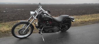 HARLEY DAVIDSON FXSTB Night Train - 7