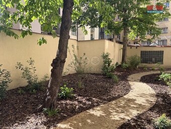 Pronájem bytu 1+kk, 19 m², Praha, ul. Pplk. Sochora - 7