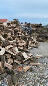 Štípané palivové dřevo tvrdé 33 cm - 7