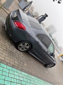 C 220 BleTec 125 kW - 7