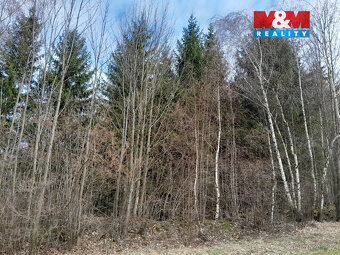 Prodej lesa, 5083 m², Zálezly - Setěchovice - 7