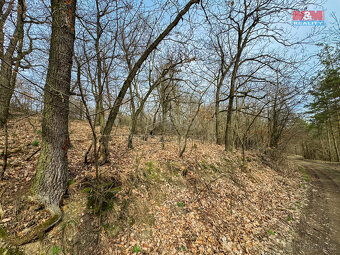Prodej lesa, 7378 m², Bojanovice - 7