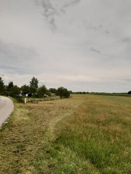 Prodám  pozemek - 7