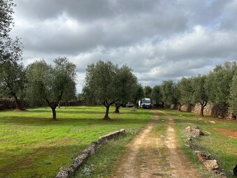 Pozemek 10.000m2 u moře🇮🇹 - 7