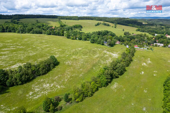 Prodej louky, 15938 m², Horní Rozmyšl - Dolní Nivy - 7