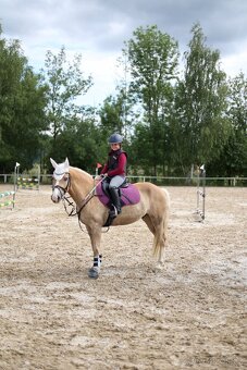 Pony B Hafling - 7