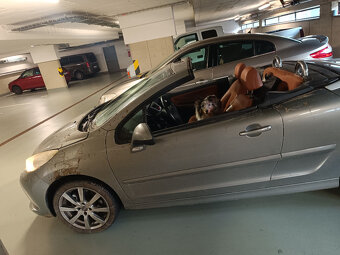 Moderní 2+kk s balkonem a garáží – Rychtáře Petříka, u tramv - 7