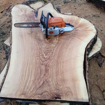 Fošny jasan,modřín ,XXL fošny - 7