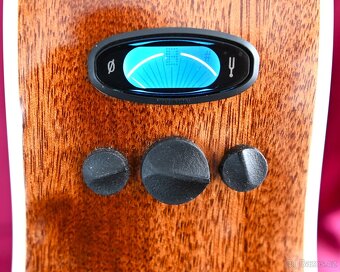 Kytara FENDER PM-3 Standard TRIPLE-0 - 7