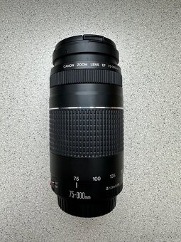 CANON EOS 1000D + 18-55mm + 75-300mm - 7