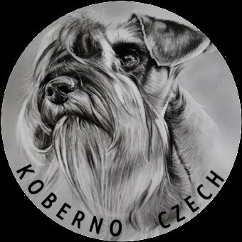 Knírač malý pepř a sůl s PP - 7