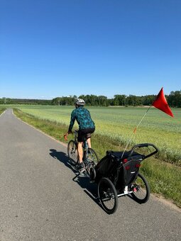 Thule Chariot Sport - 7