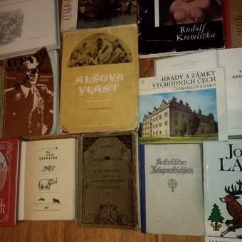 PRODÁM RŮZNÉ STARÉ KNIHY - UMĚNÍ HISTORIE, MÍSTOPIS AJ. - 7