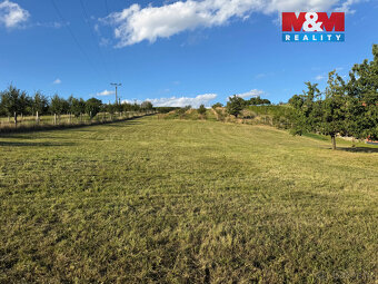 Prodej pozemku k bydlení, 7835 m², Borkovany - 7