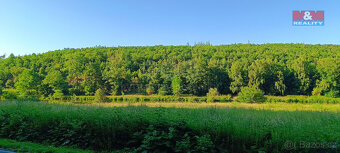 Prodej louky, 1665 m², Nižbor - 7