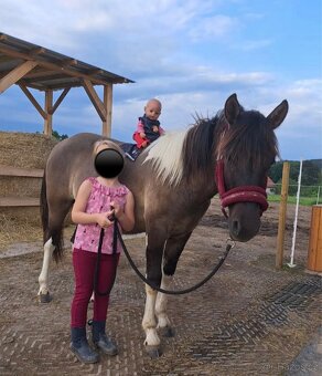 Úžasný Valášek do pony sportu - 7