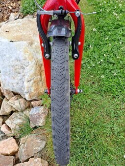 Core Nipper 20" - PĚKNÉ - 7