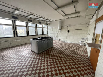Pronájem ostatní, 873 m², Frýdek-Místek, ul. Emy Destinové - 7