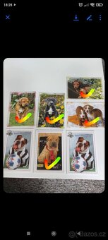 Mix nepopsaných pohlednic - 7