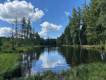 Pronájem chalupy na Šumavě - 7