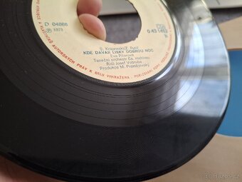 Hana Zagorová - Dárkové album SP desky - 7