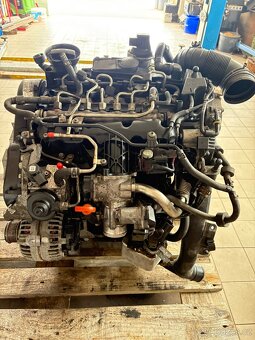 Motor Cega - 7