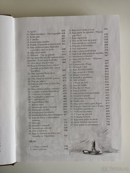 Školák Kája Mařík/ Felix Háj/ I-IV. díl/ 2010 - 7