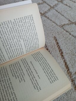 Sylvia Brinton Perera: Sestup k Bohyni - 7