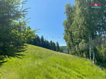 Prodej pozemků o velikosti 25164 m² v k.ú. Spělkov - 7