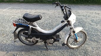 2x Manet Korado - 7