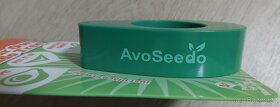 AvoSeedo Vypěstujte si avokádový strom - 7