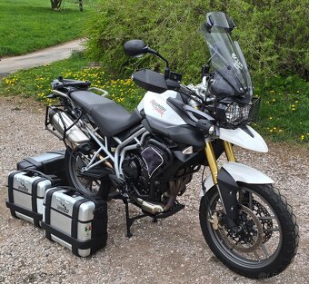 TRIUMPH TIGER 800 - 7