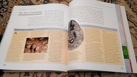 Tim Haines: Walking with the Dinosaurs: A Natural History - 7