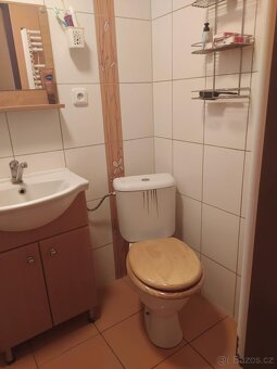 Chata se zahradou v obci Bílovice nad Svitavou, CP 501m2 - 7