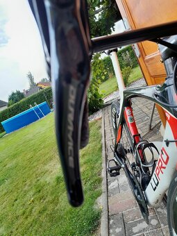 Cipollini - 7